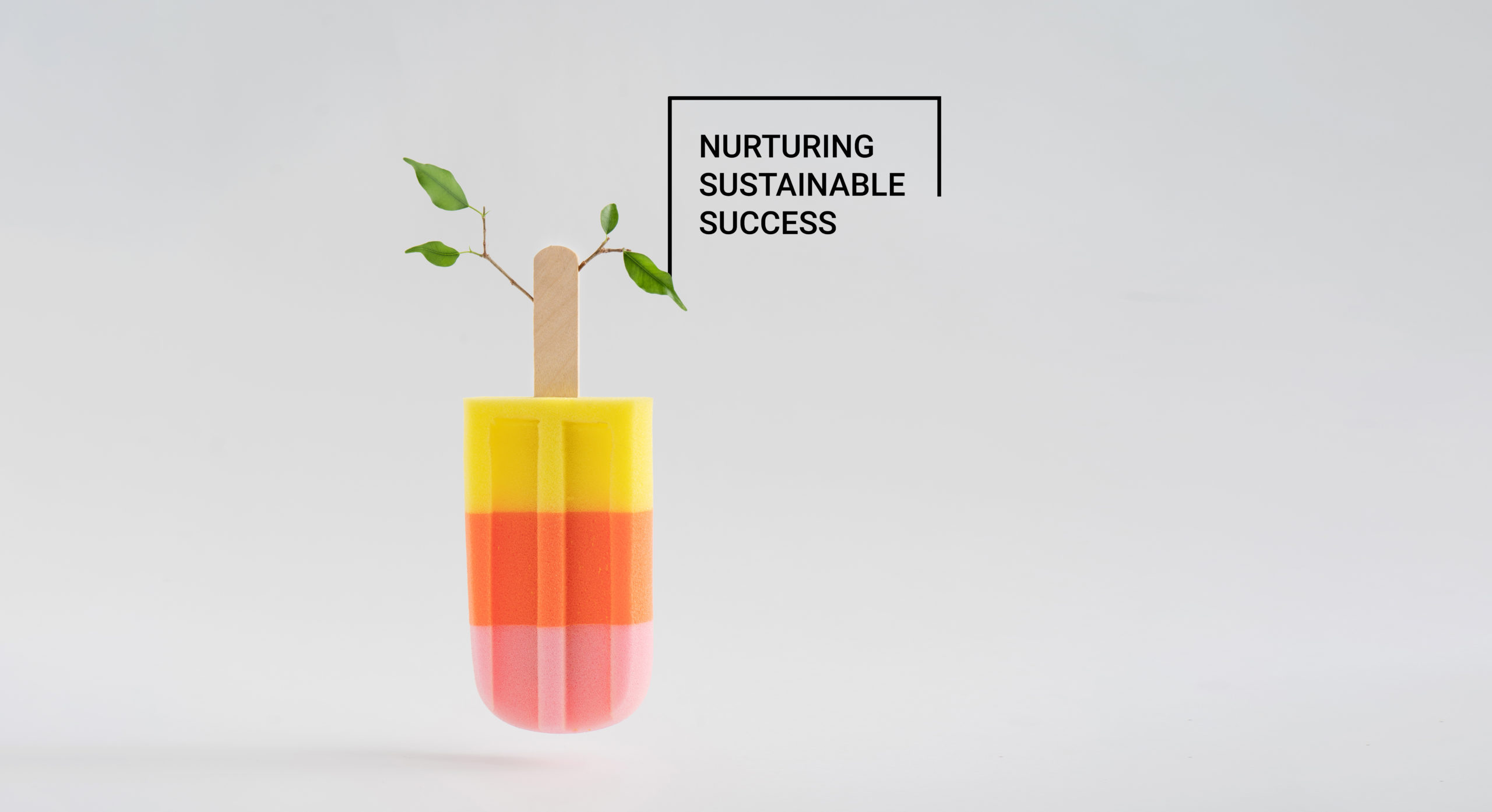 NURTURING SUSTAINABLE SUCCESS